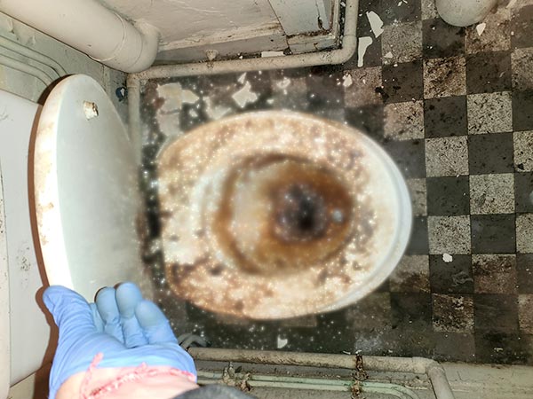 Toilettes fortement souillées avant nettoyage et désinfection d'un logement Diogène