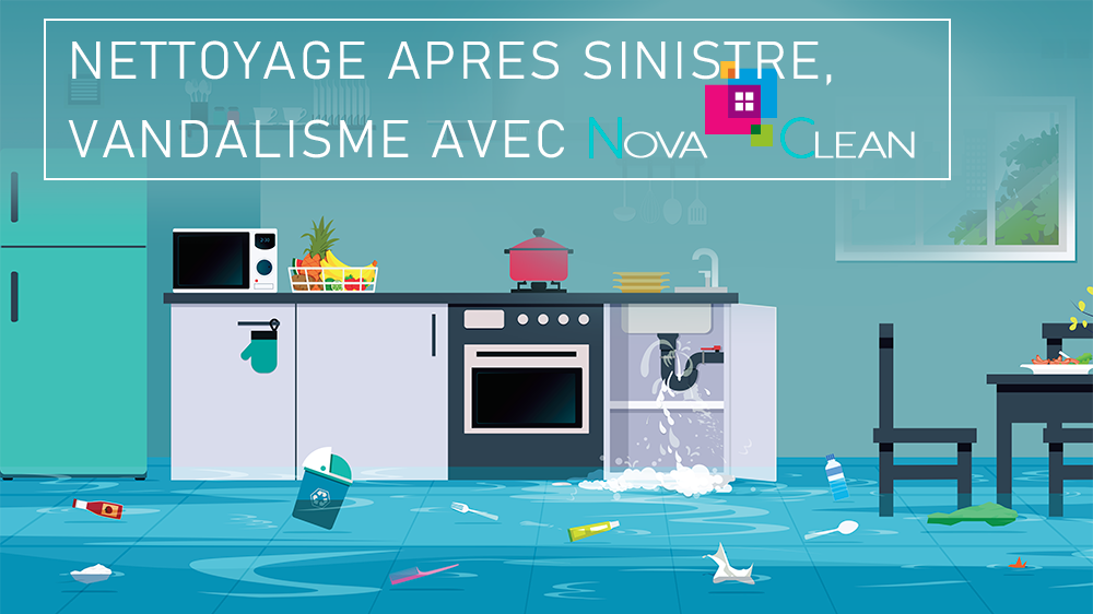 Nettoyage de canapé à domicile à Niort, Bressuire 79 par Nova Clean - NOVA  CLEAN - Deux-Sèvres 79000